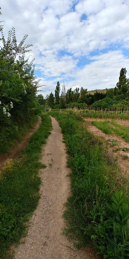 Apartamento Entrevinas En El Corazon De La Rioja Fuenmayor Eksteriør billede